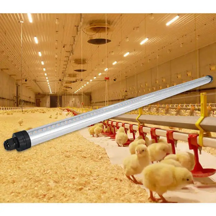 IP69K Waterproof pig house Chicken Tube Light IP69K Waterproof pig house Chicken Tube Light