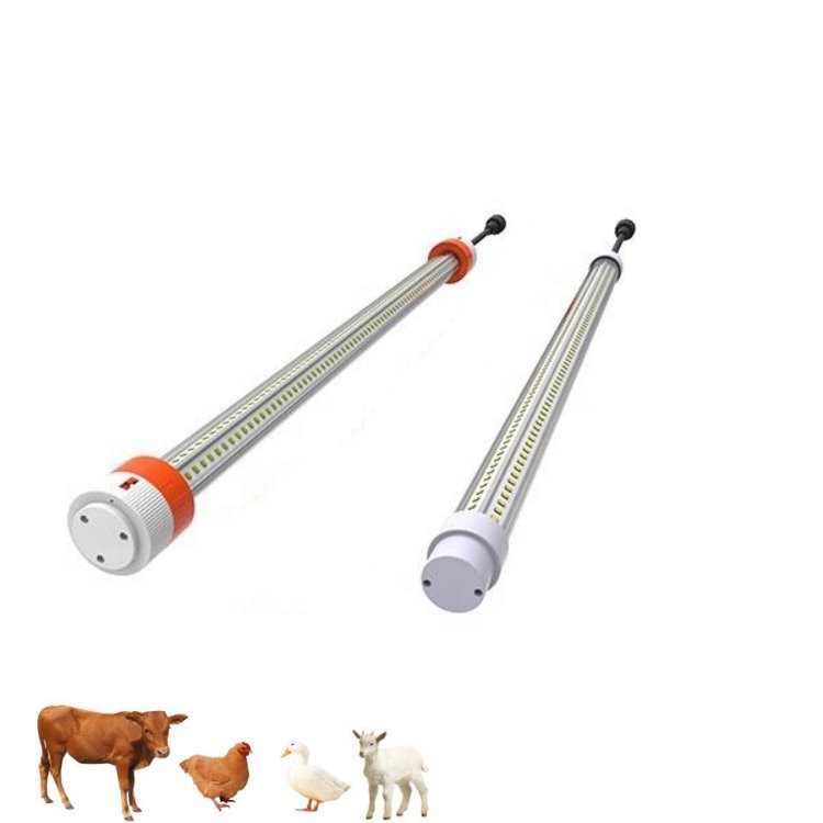 Lights For Chicken House