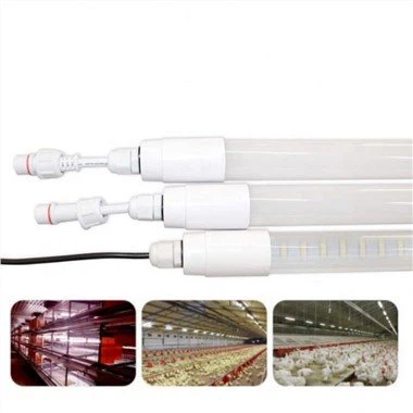 Kit de iluminação para galinheiro