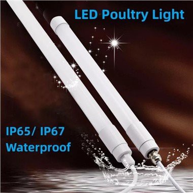 Luzes de Tubo Led 12v