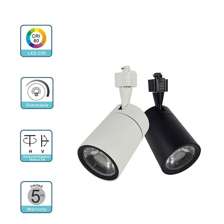 Ceiling Mounted Track Lighting