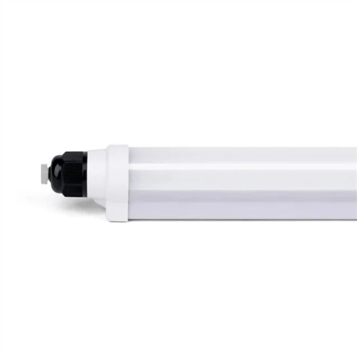 Lighting For Broilers Breeders