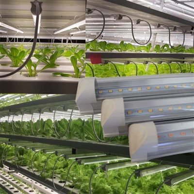 5000 lúmens conduziram plantas em crescimento dentro de casa