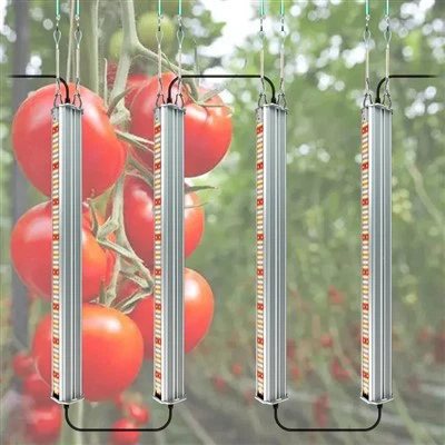 Luzes de cultivo de tomate integradas de espectro total