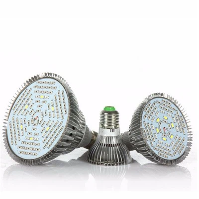 Cultive lâmpadas para plantas de casa