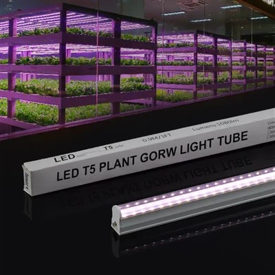 Grow Lights para Microgreens