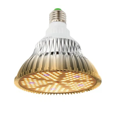 Interior Led Lâmpadas