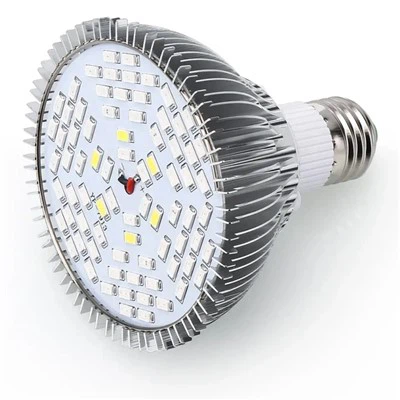Lâmpadas diurnas de led para plantas