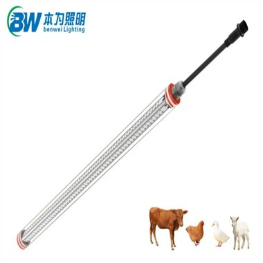 Sistema de Iluminação Para Aves