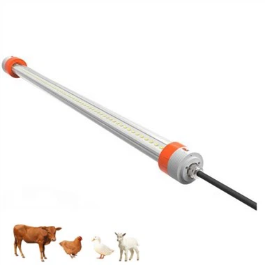 Luzes predadoras para galinheiro