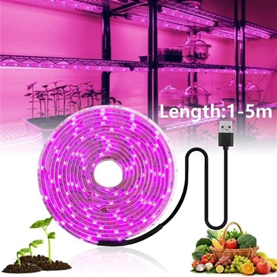 Luzes solares de cultivo para plantas ao ar livre