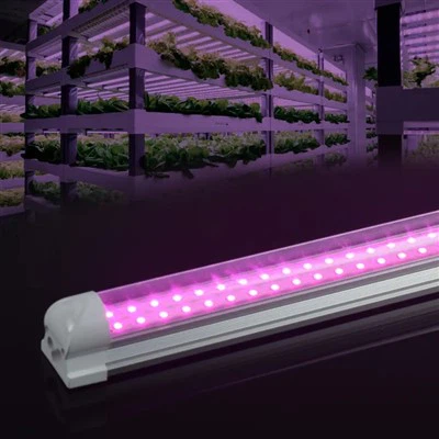 Luzes de cultivo T8 48 polegadas
