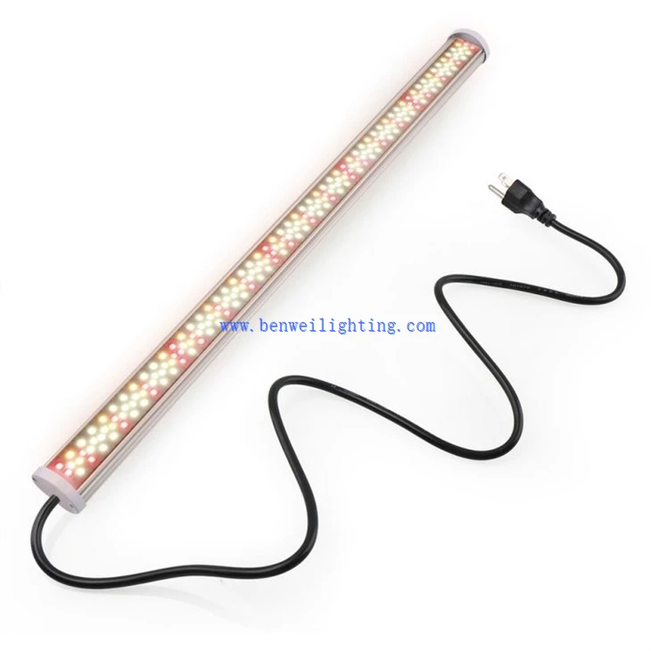 plant lamp light