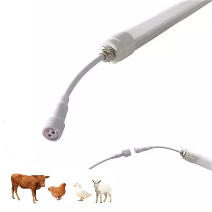 Farm Animal Light