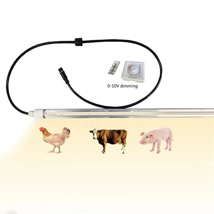 Flicker-Free Dimmable LED Poultry Lighting
