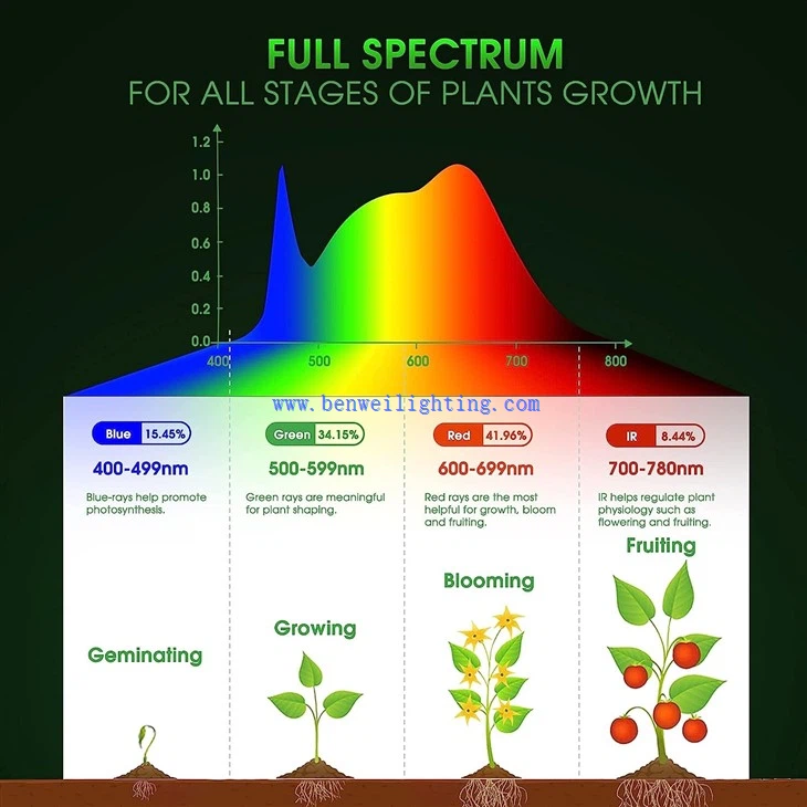 11W Grow Bulb Red & Blue 2