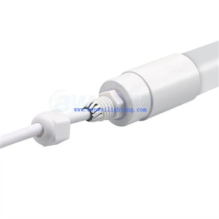 Horse Poultry Light (5)