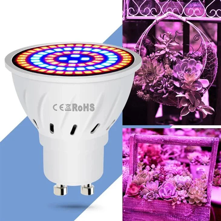 grow light5 grow light5