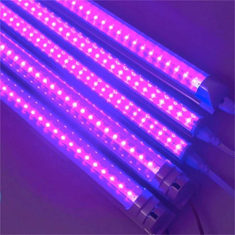 Antibacterial uv light Antibacterial uv light
