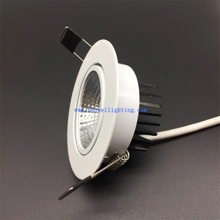 LED downlight (1)