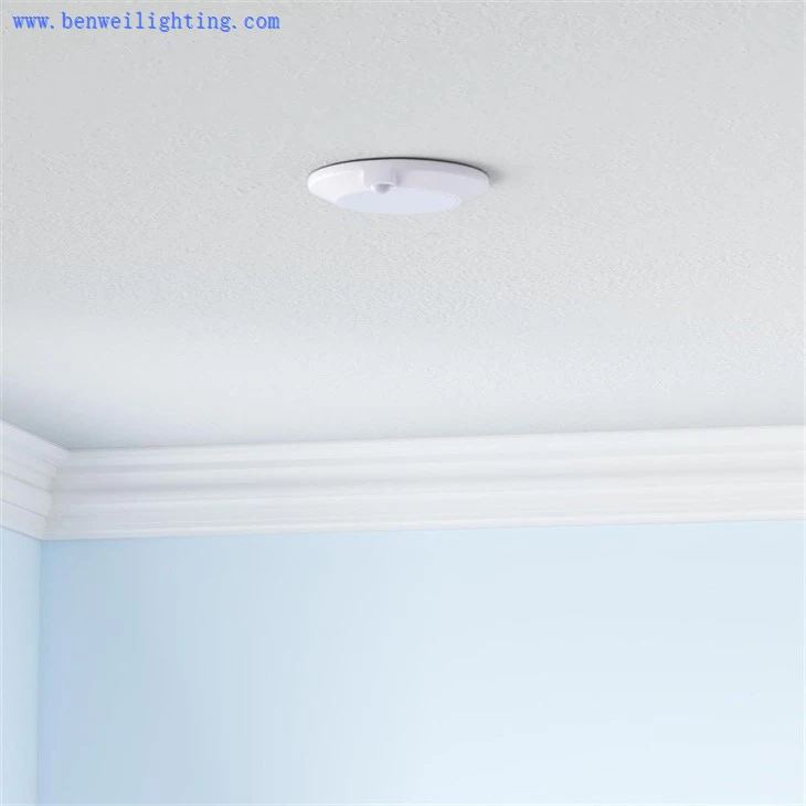 motion sensor light switch