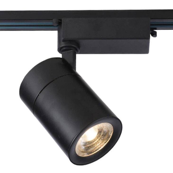 Rotatable Rail Light
