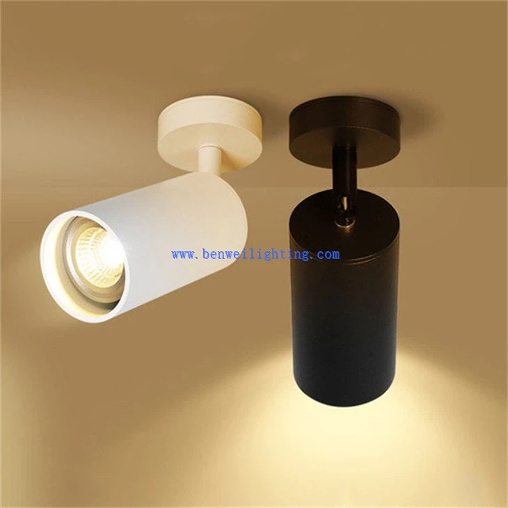 Rotatable Rail Light (1)