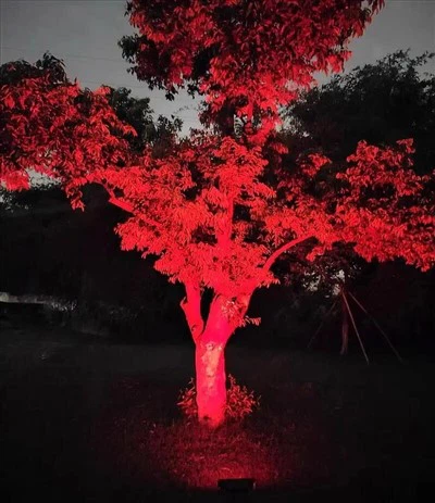 Projetor impermeável IP66 de 180 graus