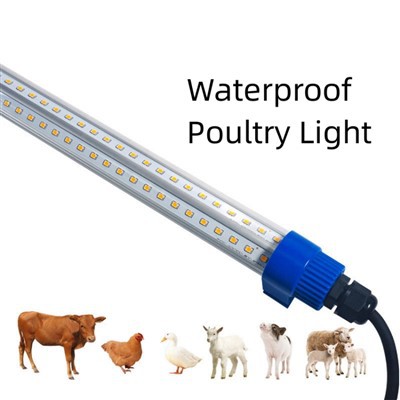 Luz LED para aves de capoeira de 4 pés e 18 W