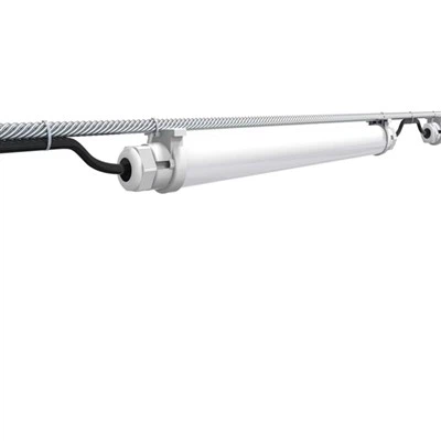 Lâmpada LED regulável para aves de capoeira