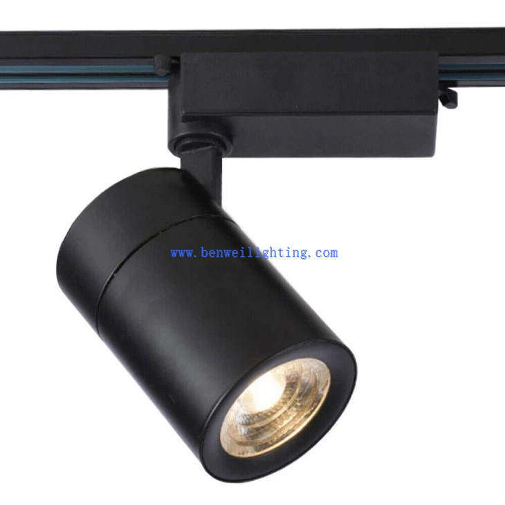 Tracklight For Hall (1)