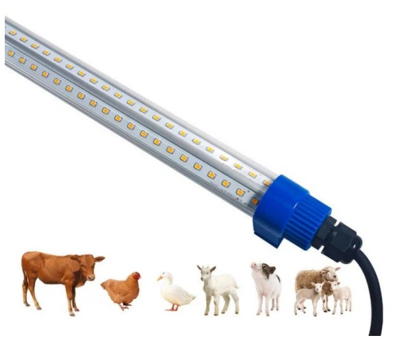 Waterproof Chicken-raising Lamp