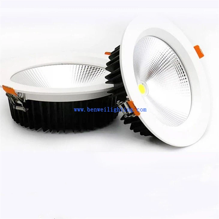 black adjustable downlights